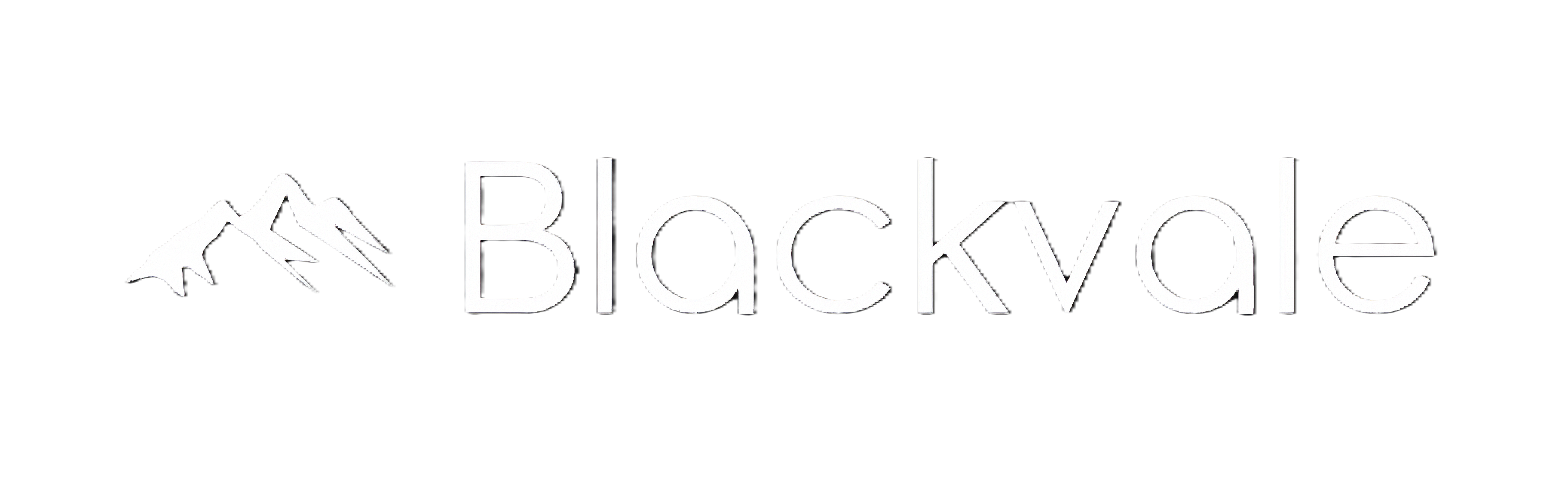 Blackvale Holdings